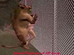 A bear having animal sex with a nude bitch